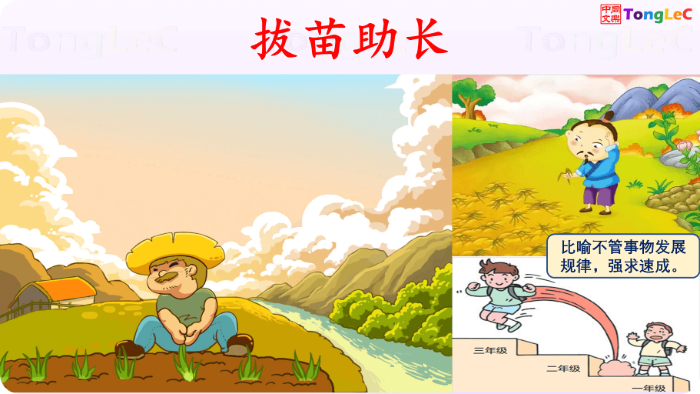拔苗助长示意图